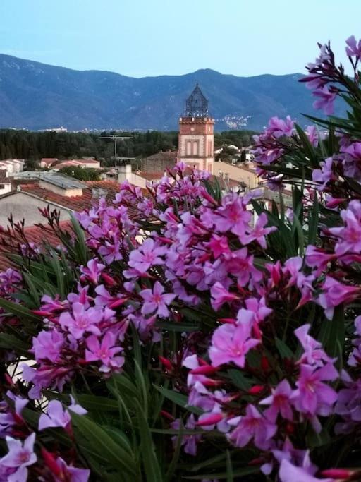 Villa Casa Rosa, Un Petit Cocon Catalan Ortaffa Exterior foto